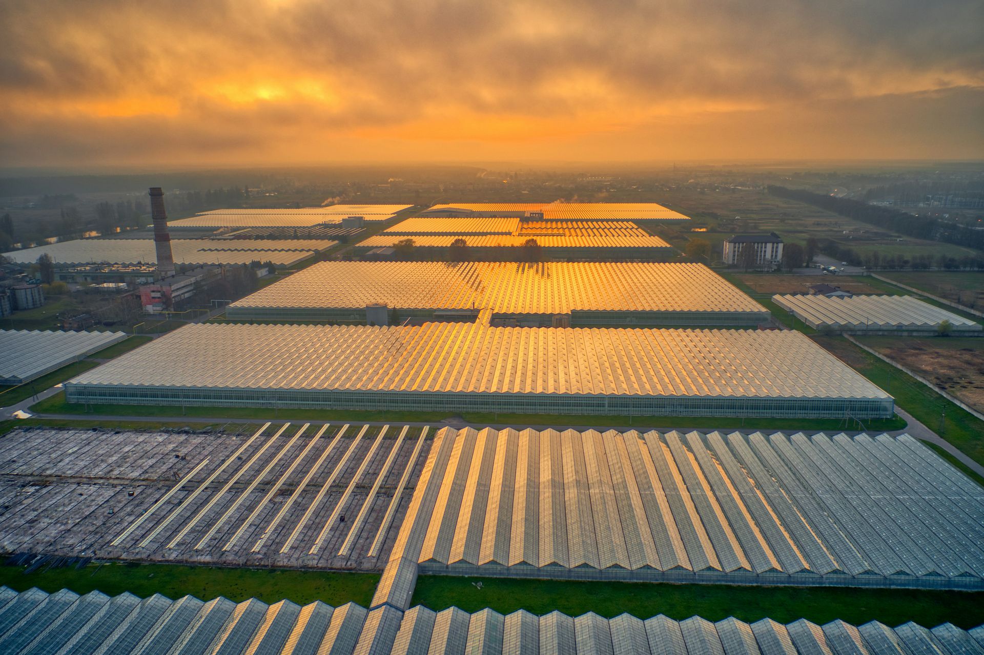 Aerial view of extensive greenhouse structures at sunset, with golden light reflecting off the glass roofs and a chimney and buildings in the background.